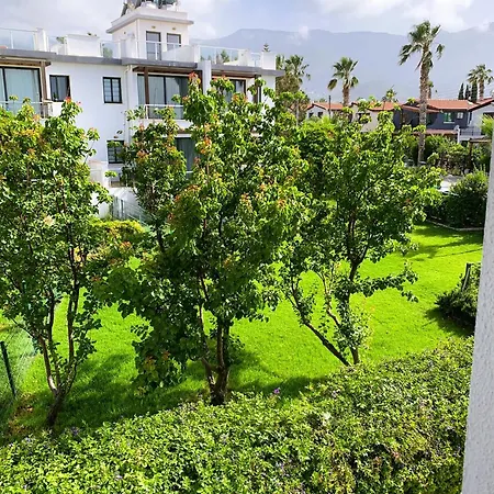 Apartament Hg Mare *