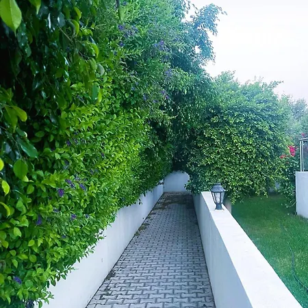 Hg Mare Apartament *