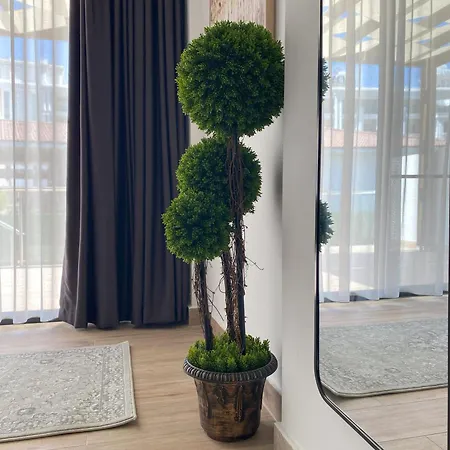 Hg Mare * 凯里尼亚