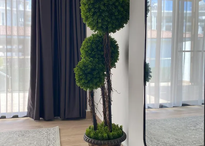 Hg Mare * キレニア